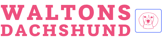 WALTONS DACHSHUNDS